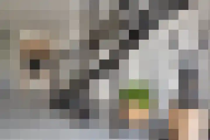 Lievingerveld 300 Beilen thumbnail 25
