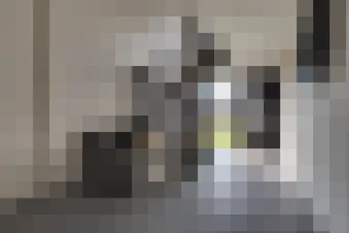 Lievingerveld 300 Beilen thumbnail 26