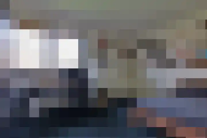 Lievingerveld 300 Beilen thumbnail 29