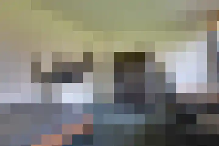 Lievingerveld 300 Beilen thumbnail 30