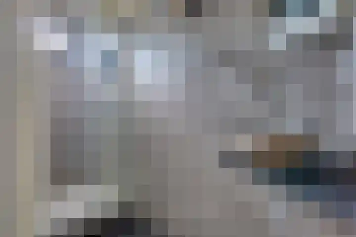 Lievingerveld 300 Beilen thumbnail 31