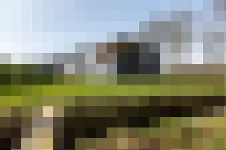 Lievingerveld 300 Beilen thumbnail 35