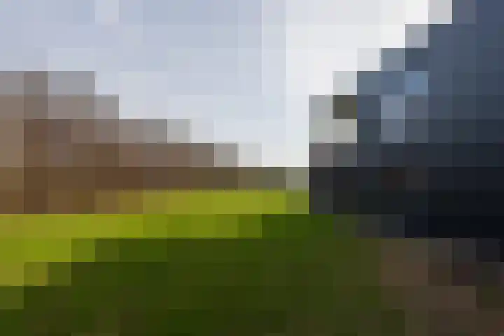 Lievingerveld 300 Beilen thumbnail 36