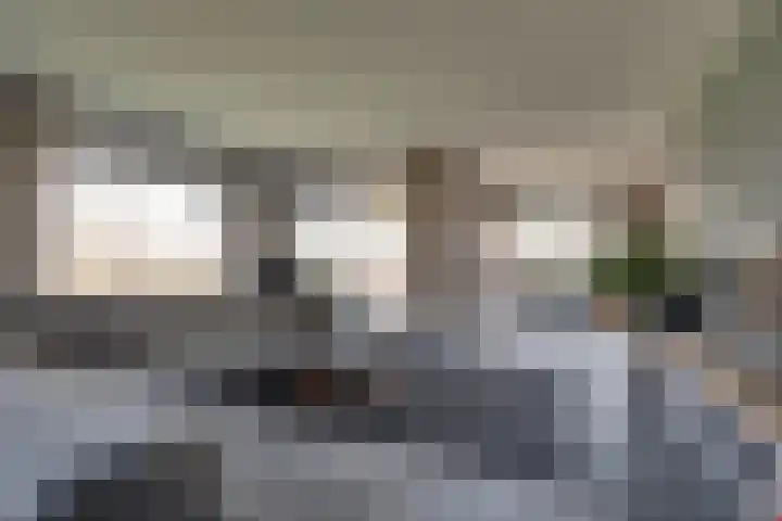 Lievingerveld 300 Beilen thumbnail 4