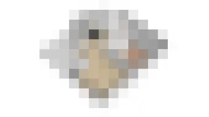 Lievingerveld 300 Beilen thumbnail 44