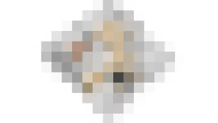 Lievingerveld 300 Beilen thumbnail 45