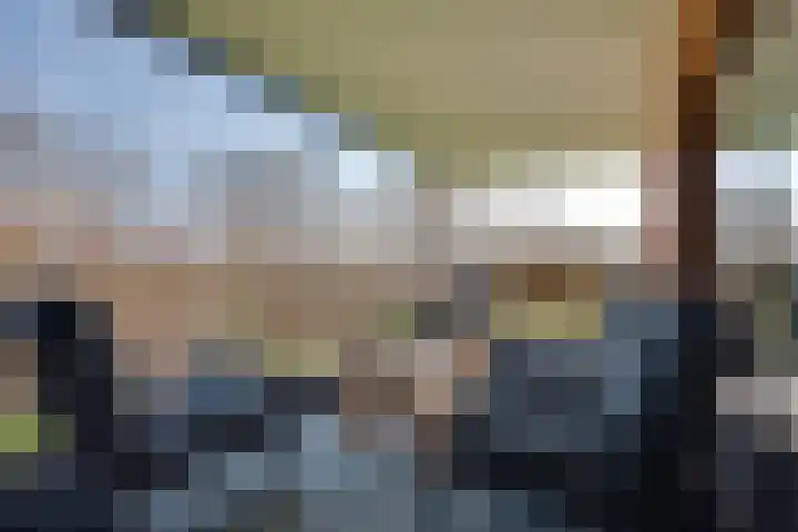 Lievingerveld 300 Beilen thumbnail 8
