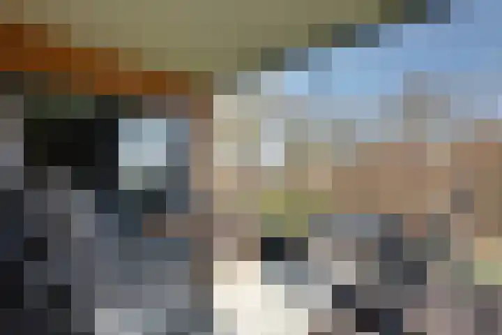 Lievingerveld 300 Beilen thumbnail 9