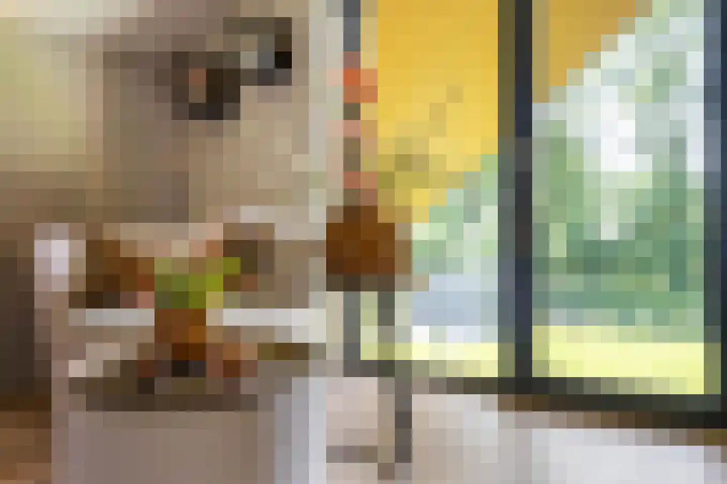 Lievingerveld 602 Beilen thumbnail 37