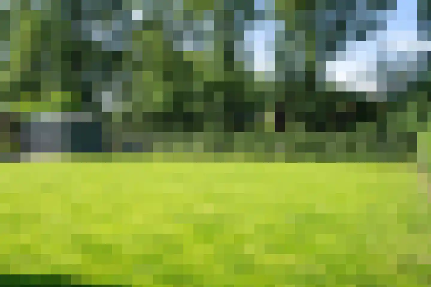 Lievingerveld 602 Beilen thumbnail 4