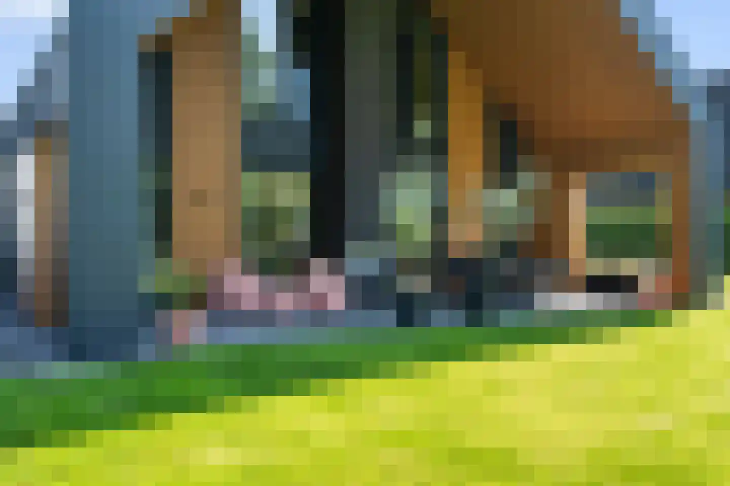Lievingerveld 602 Beilen thumbnail 49