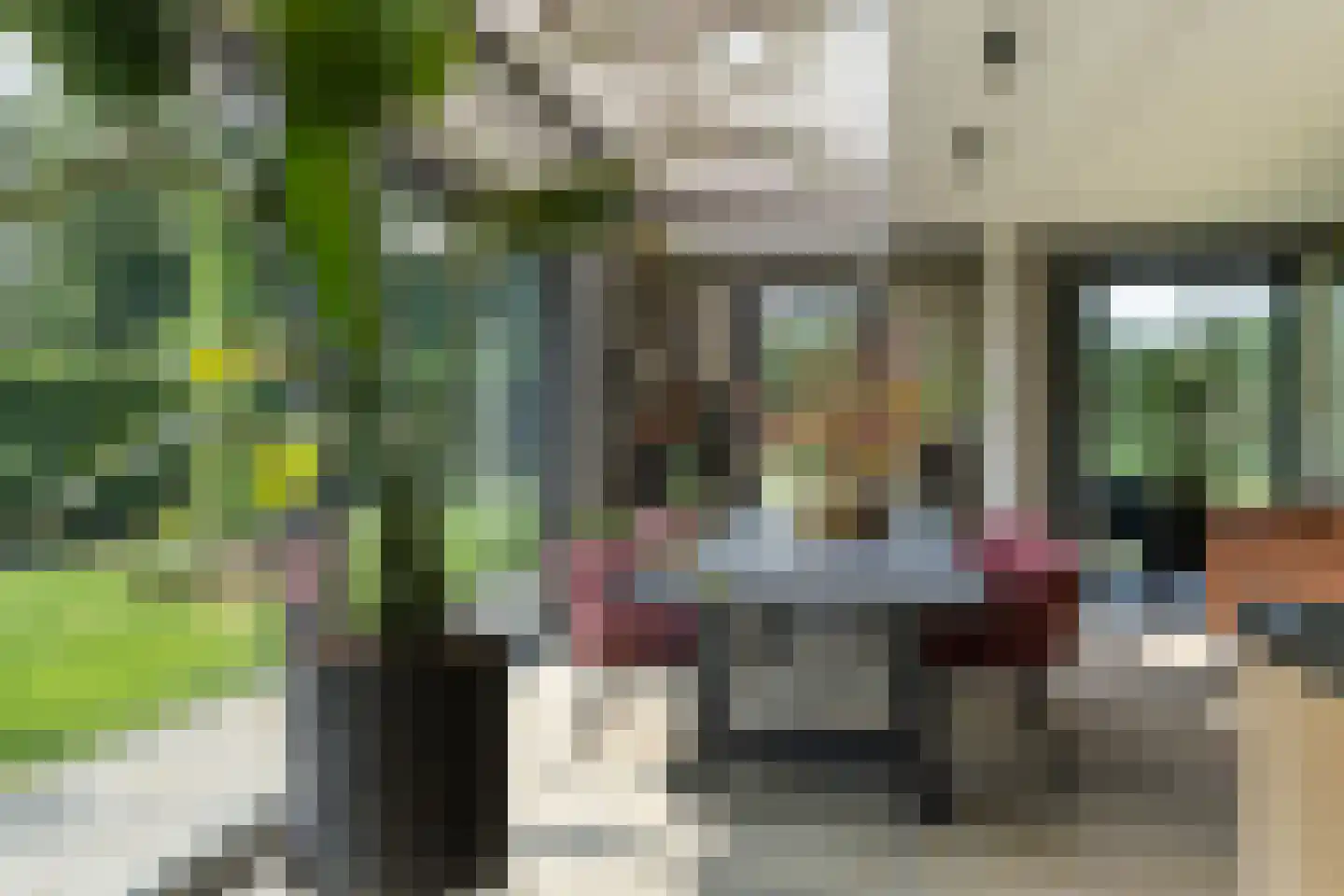 Lievingerveld 602 Beilen thumbnail 5