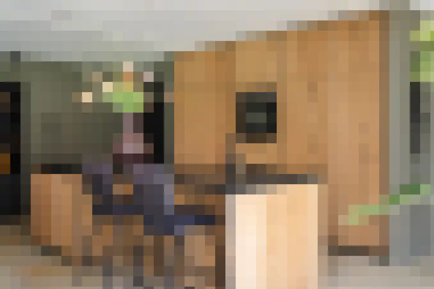 Lievingerveld 602 Beilen thumbnail 7