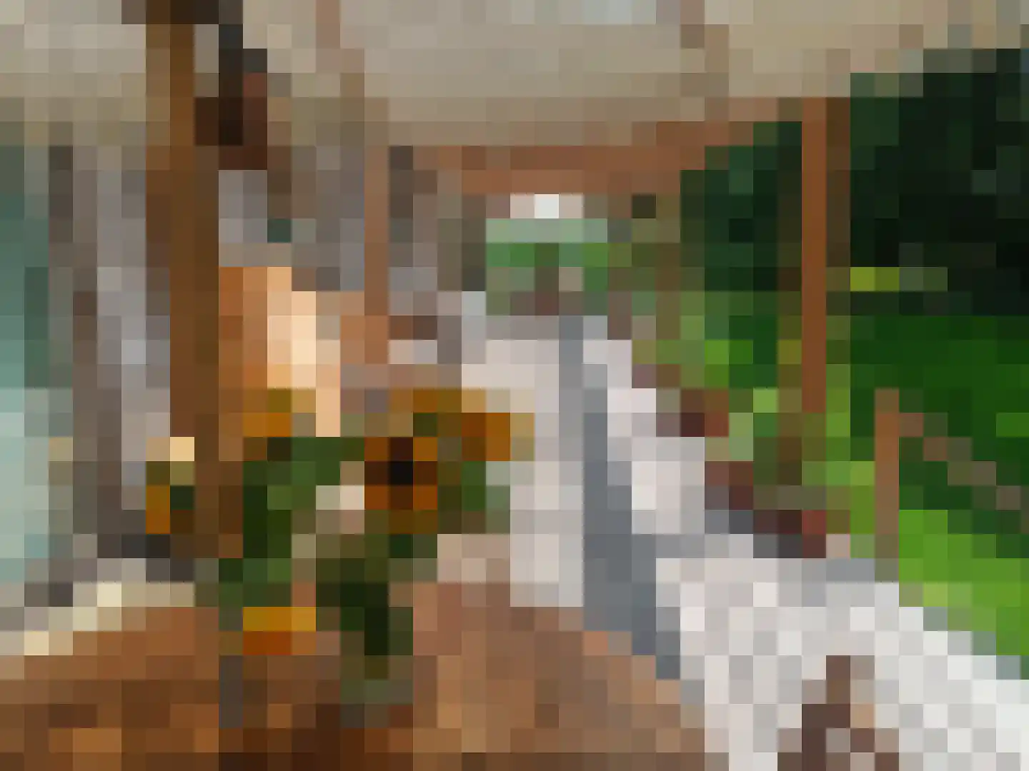 Lievingerveld 606 Beilen thumbnail 11