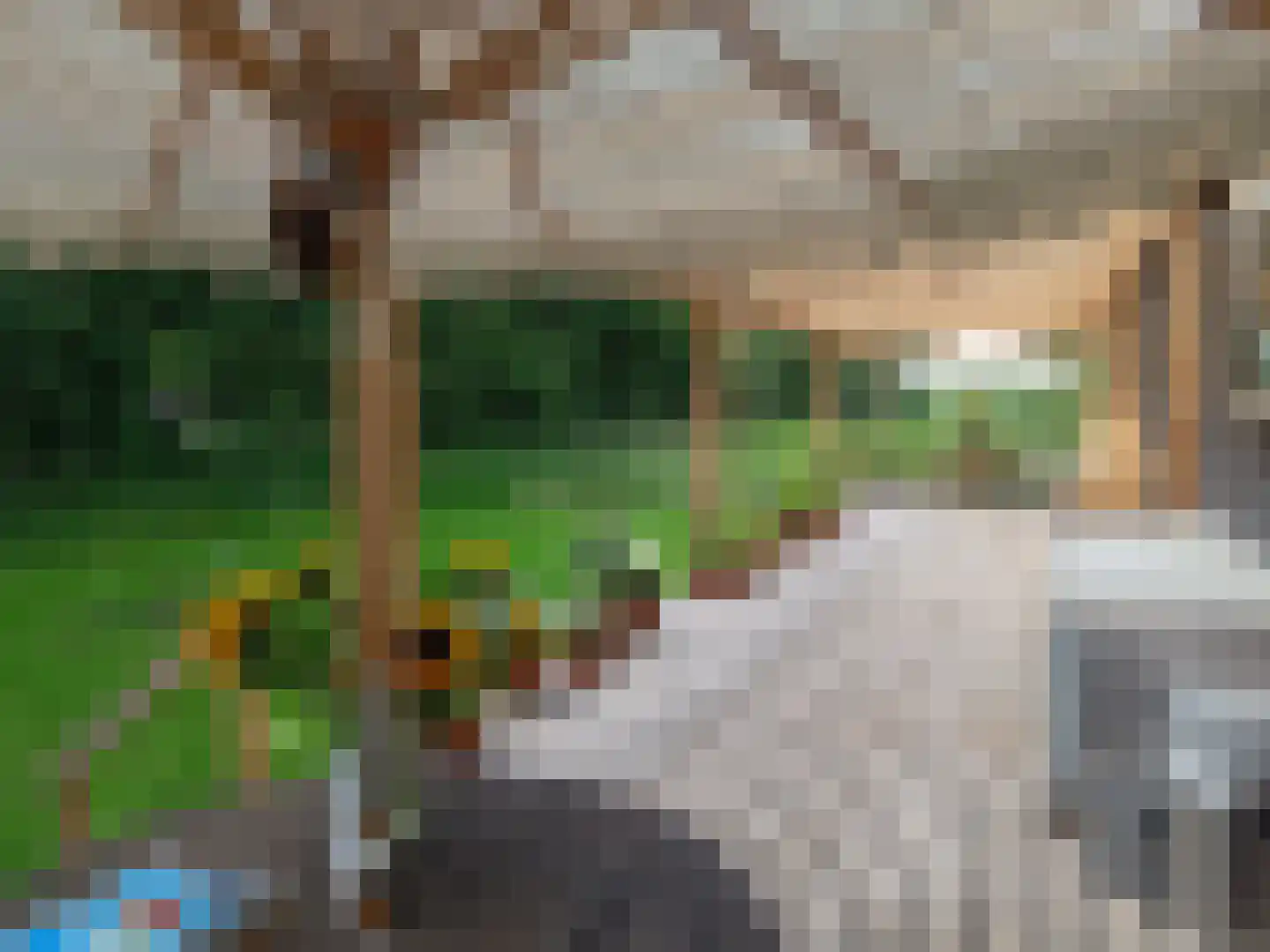 Lievingerveld 606 Beilen thumbnail 12