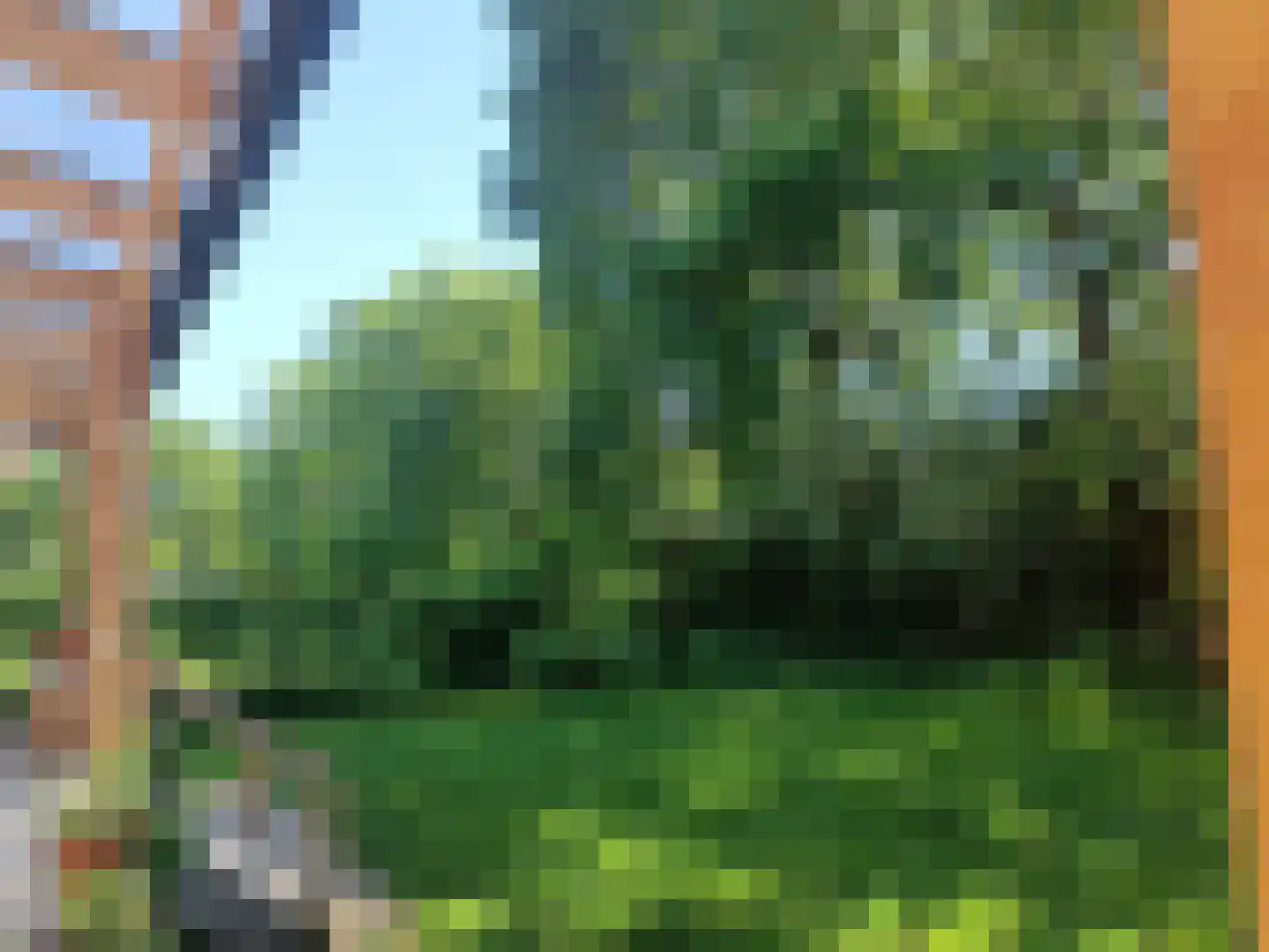 Lievingerveld 606 Beilen thumbnail 4