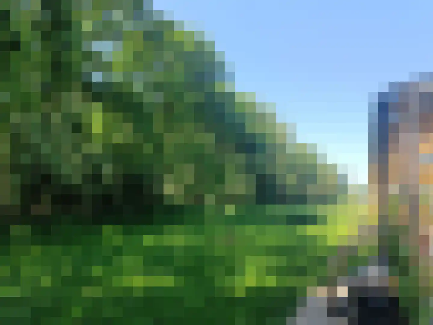 Lievingerveld 606 Beilen thumbnail 5