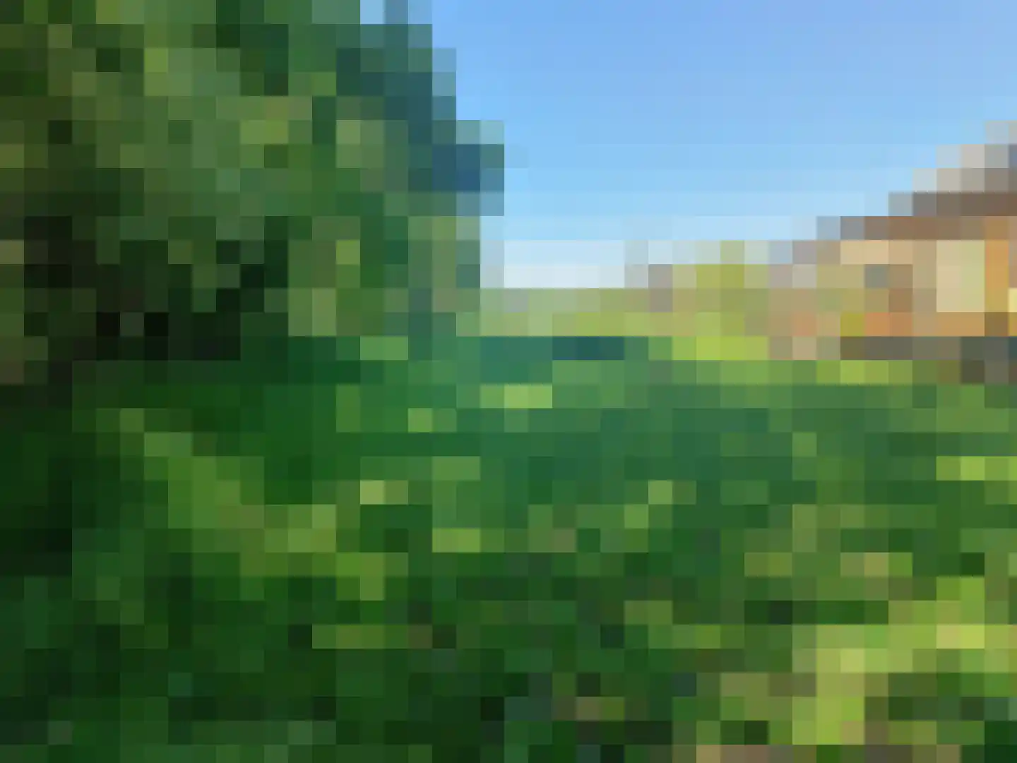 Lievingerveld 606 Beilen thumbnail 6