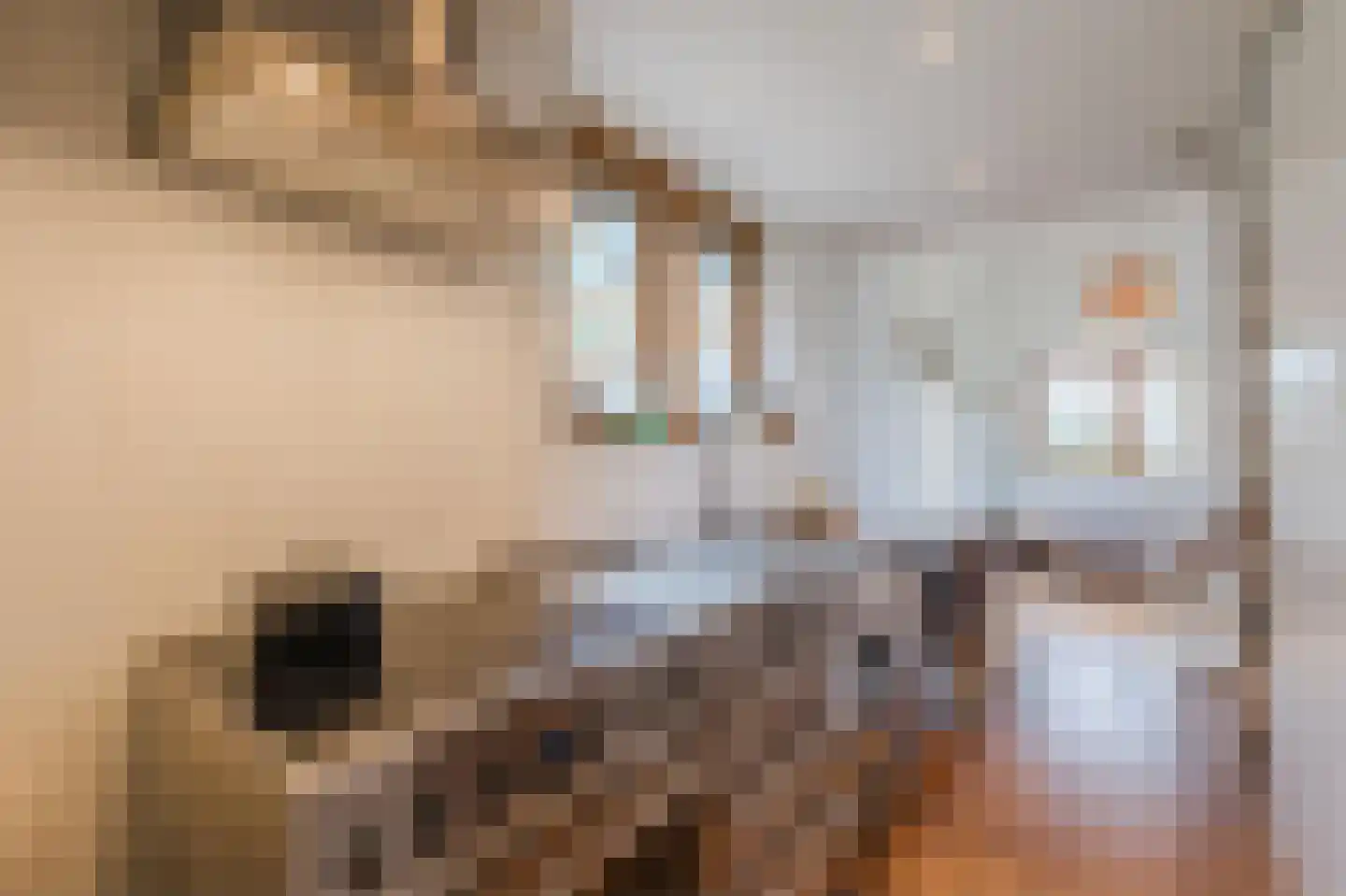 Lievingerveld 606 Beilen thumbnail 6