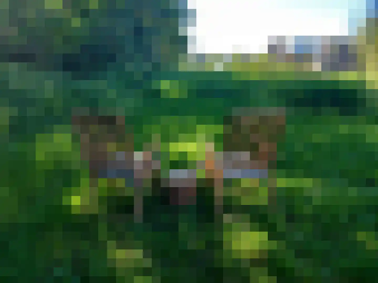 Lievingerveld 606 Beilen thumbnail 7