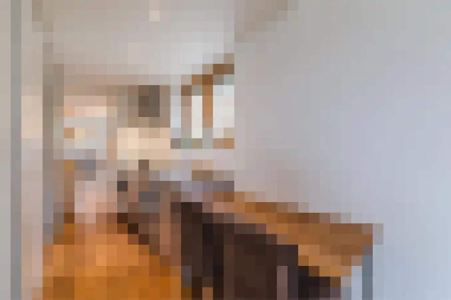 Lievingerveld 606 Beilen thumbnail 7