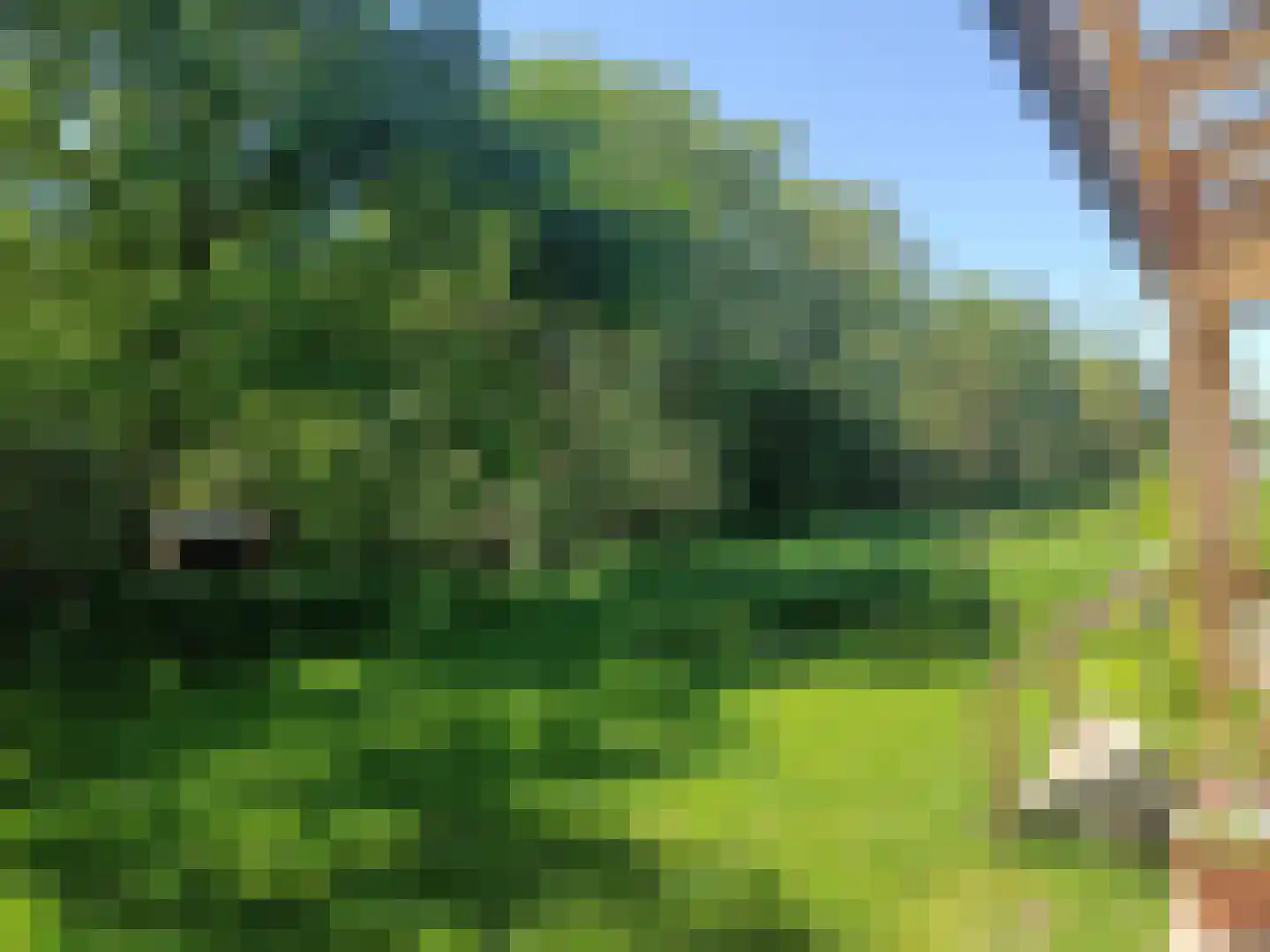 Lievingerveld 606 Beilen thumbnail 8