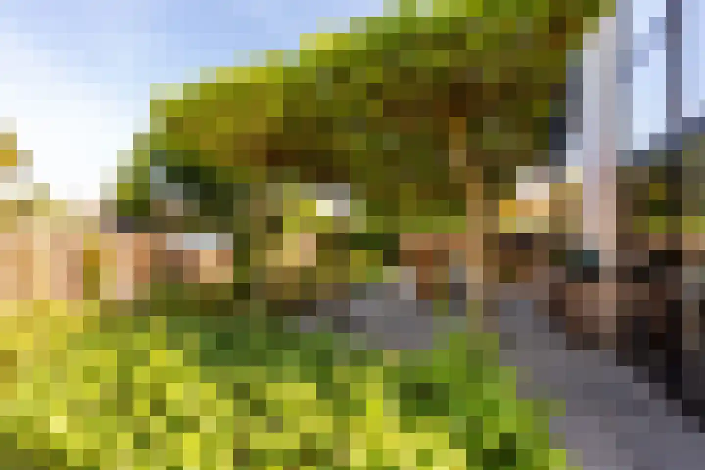 Liewegje 15 Haarlem thumbnail 19