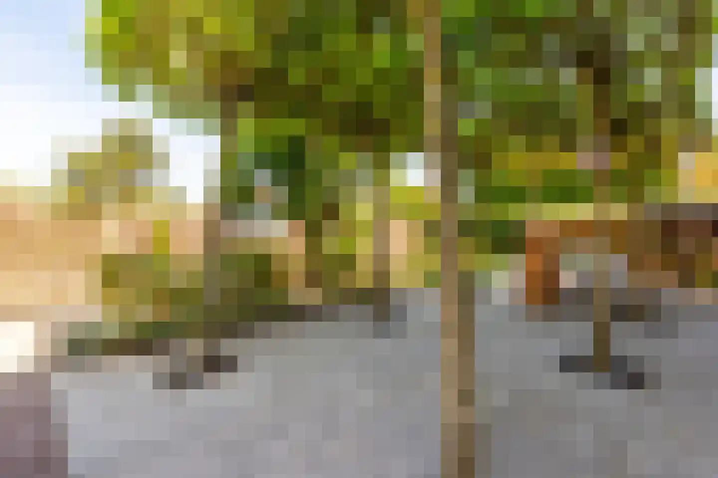 Liewegje 15 Haarlem thumbnail 20