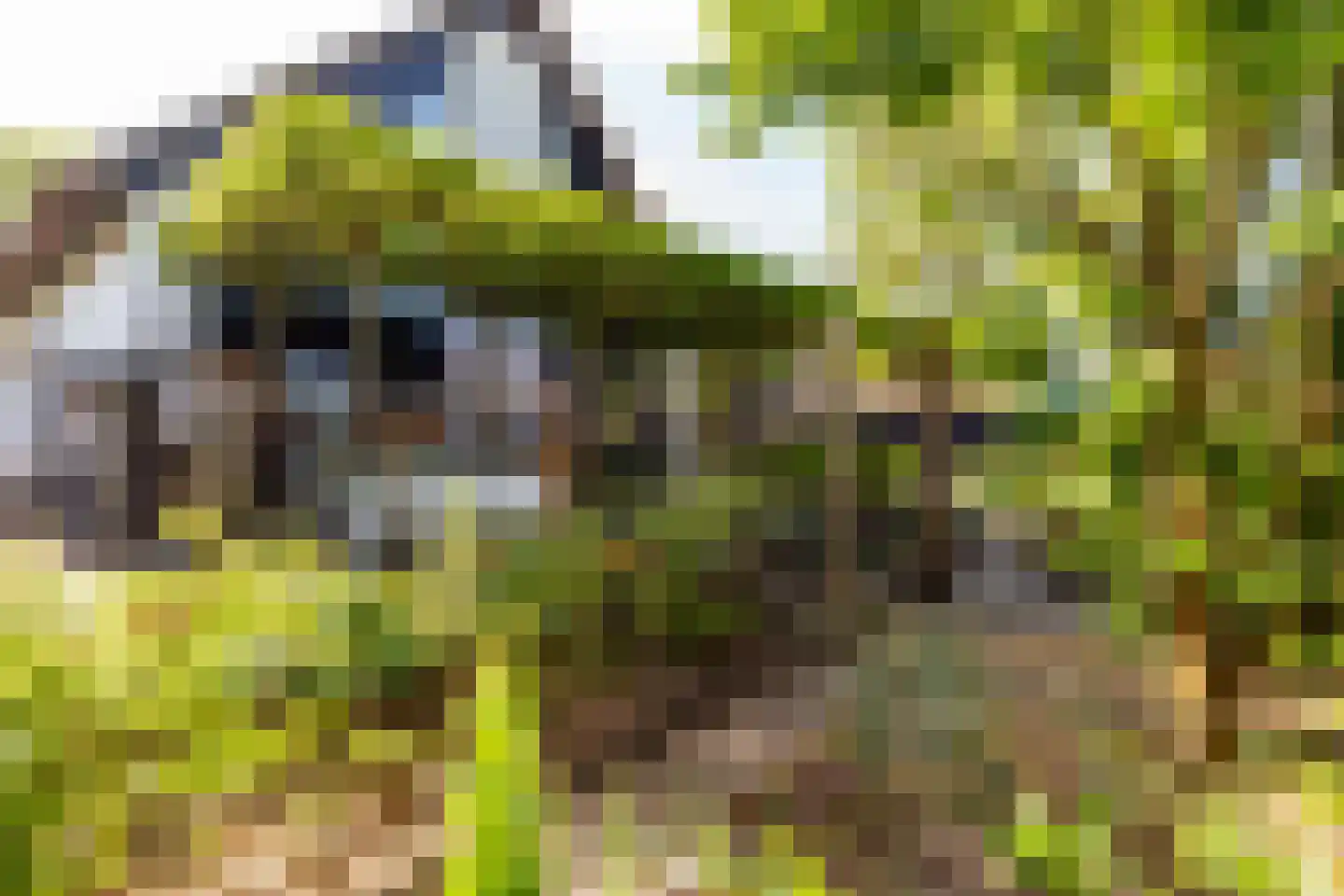 Liewegje 15 Haarlem thumbnail 21