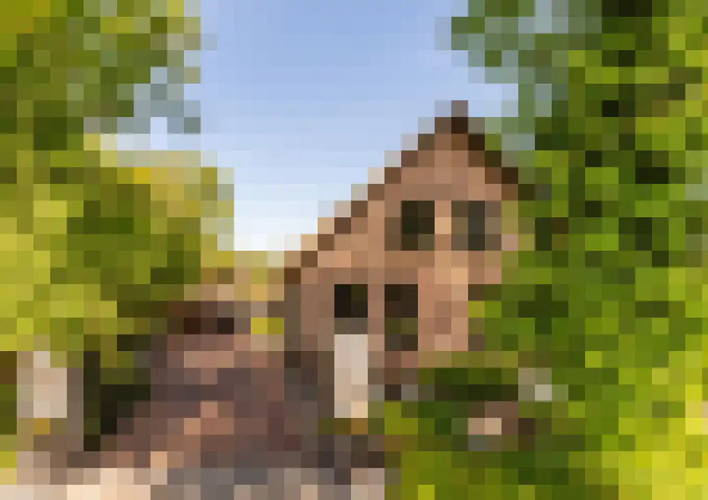 Liewegje 15 Haarlem thumbnail 23