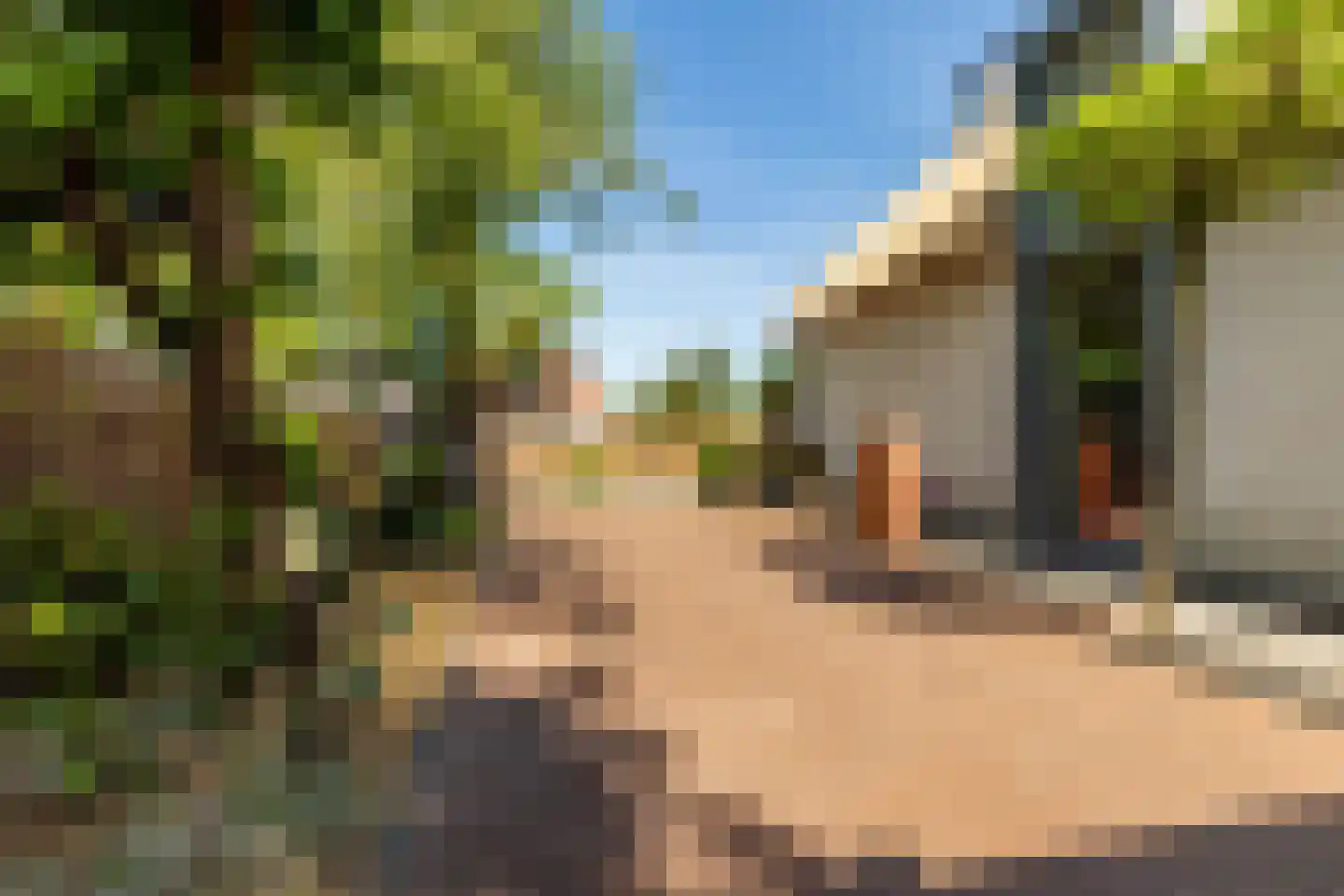 Liewegje 15 Haarlem thumbnail 25