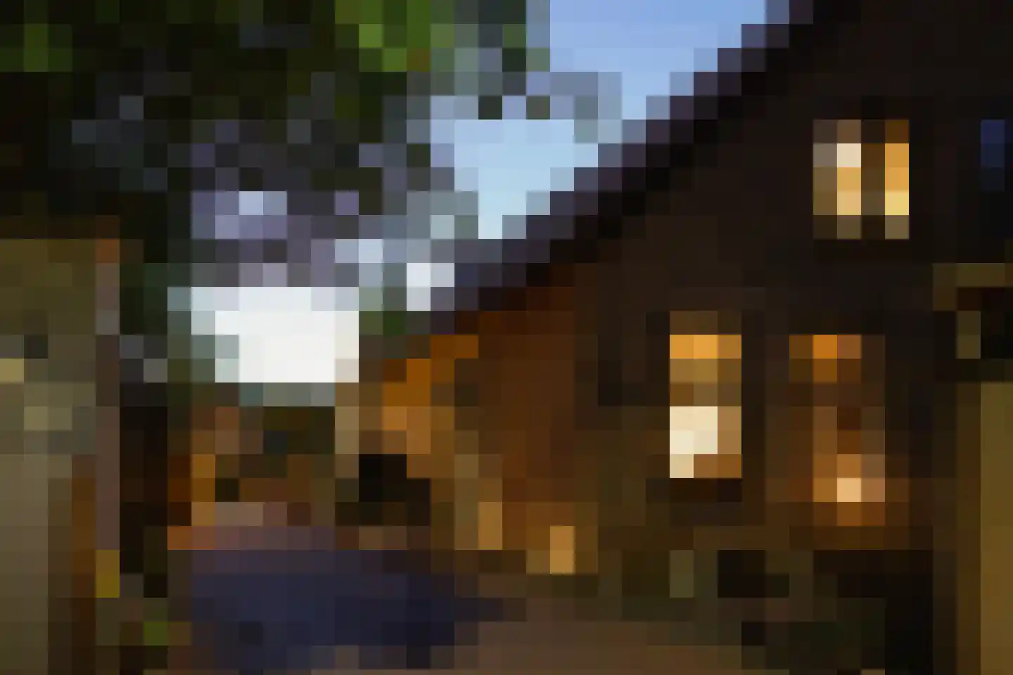 Liewegje 15 Haarlem thumbnail 27