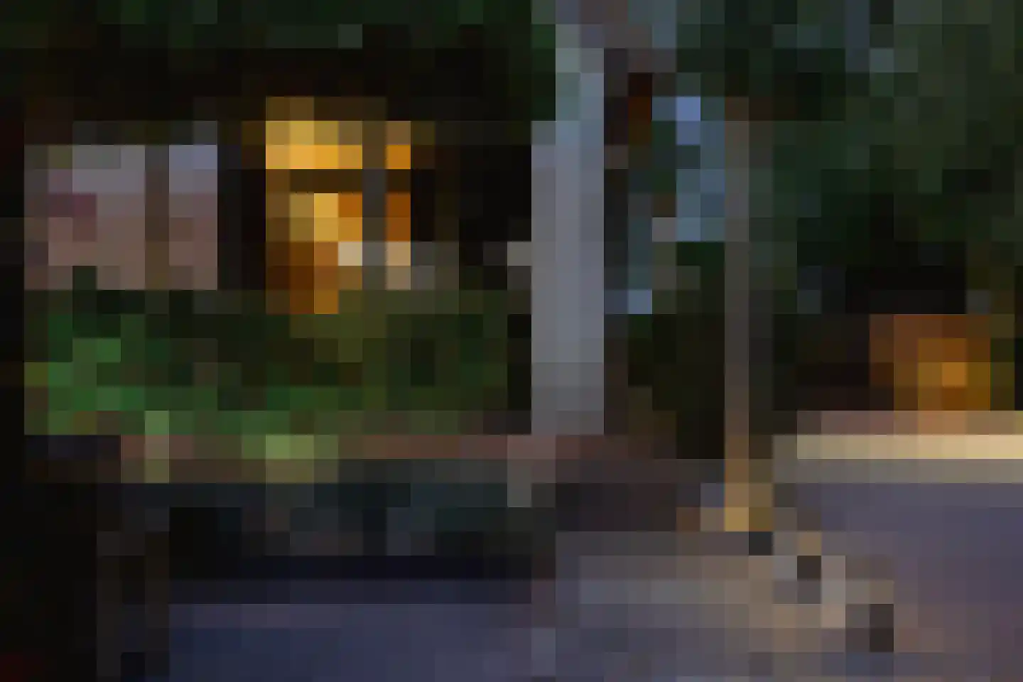 Liewegje 15 Haarlem thumbnail 28