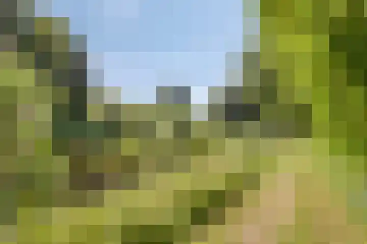 Liezenbergpad 19 Amersfoort thumbnail 24