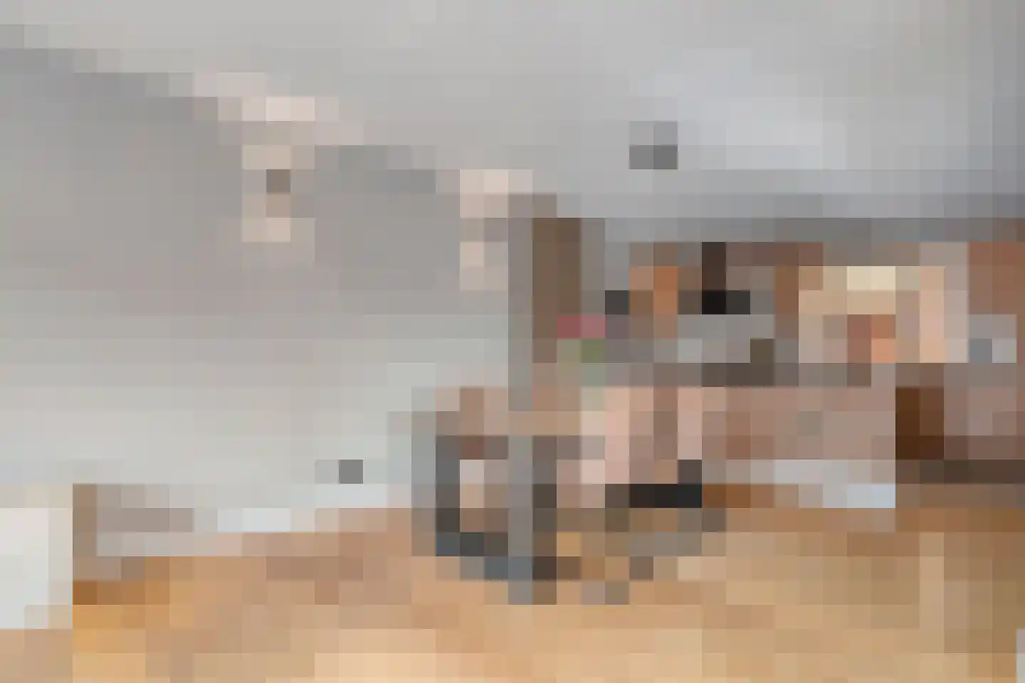 Liezenstraat 11 Beerzerveld thumbnail 14