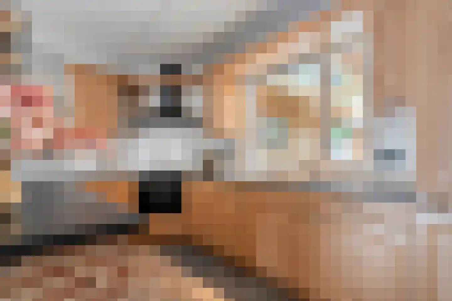 Liezenstraat 11 Beerzerveld thumbnail 17