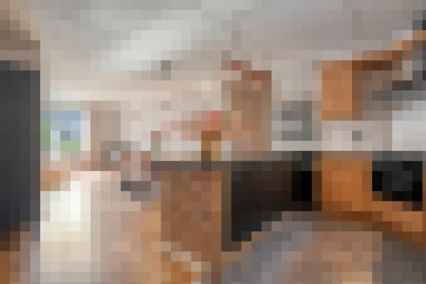 Liezenstraat 11 Beerzerveld thumbnail 19