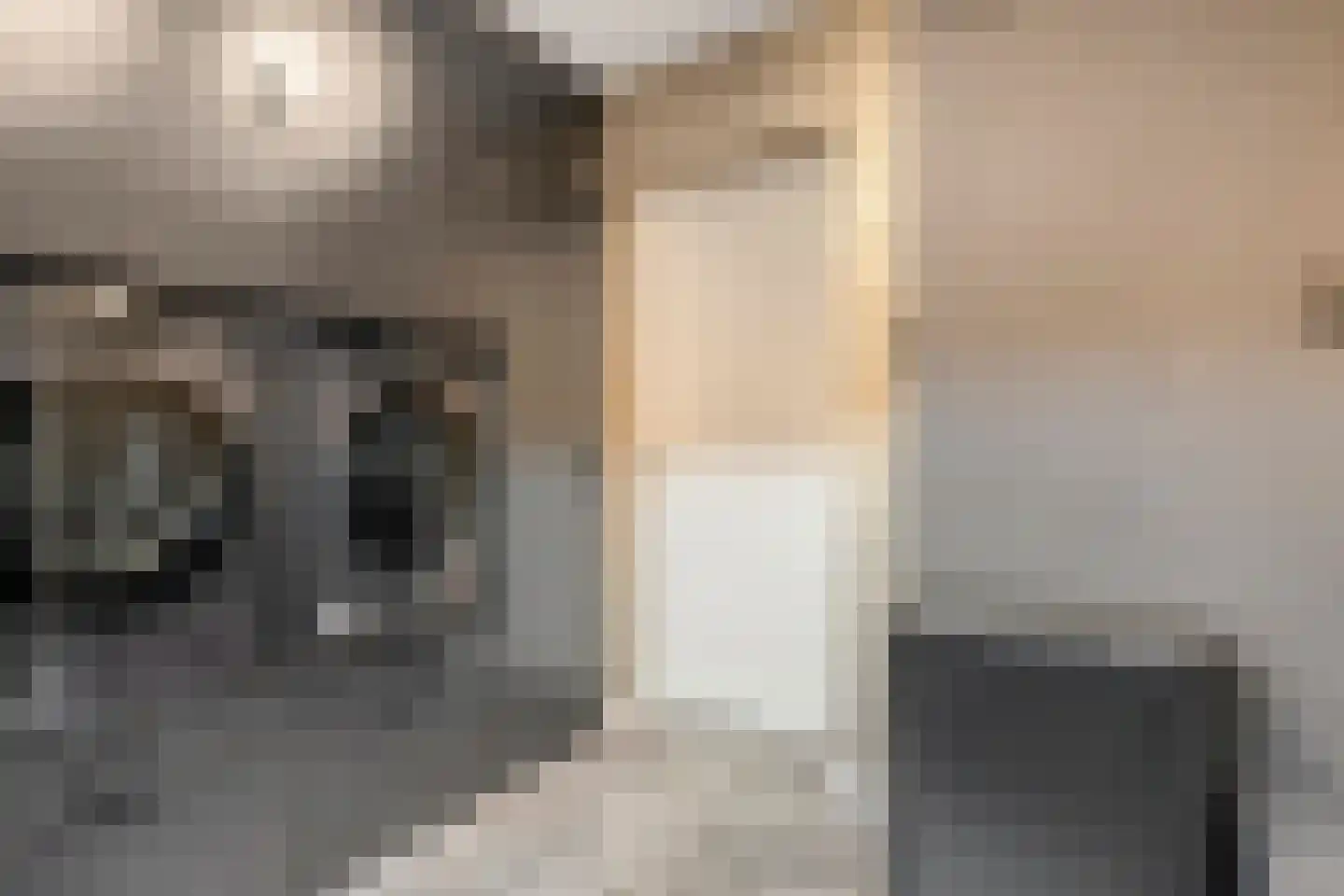 Liezenstraat 11 Beerzerveld thumbnail 20