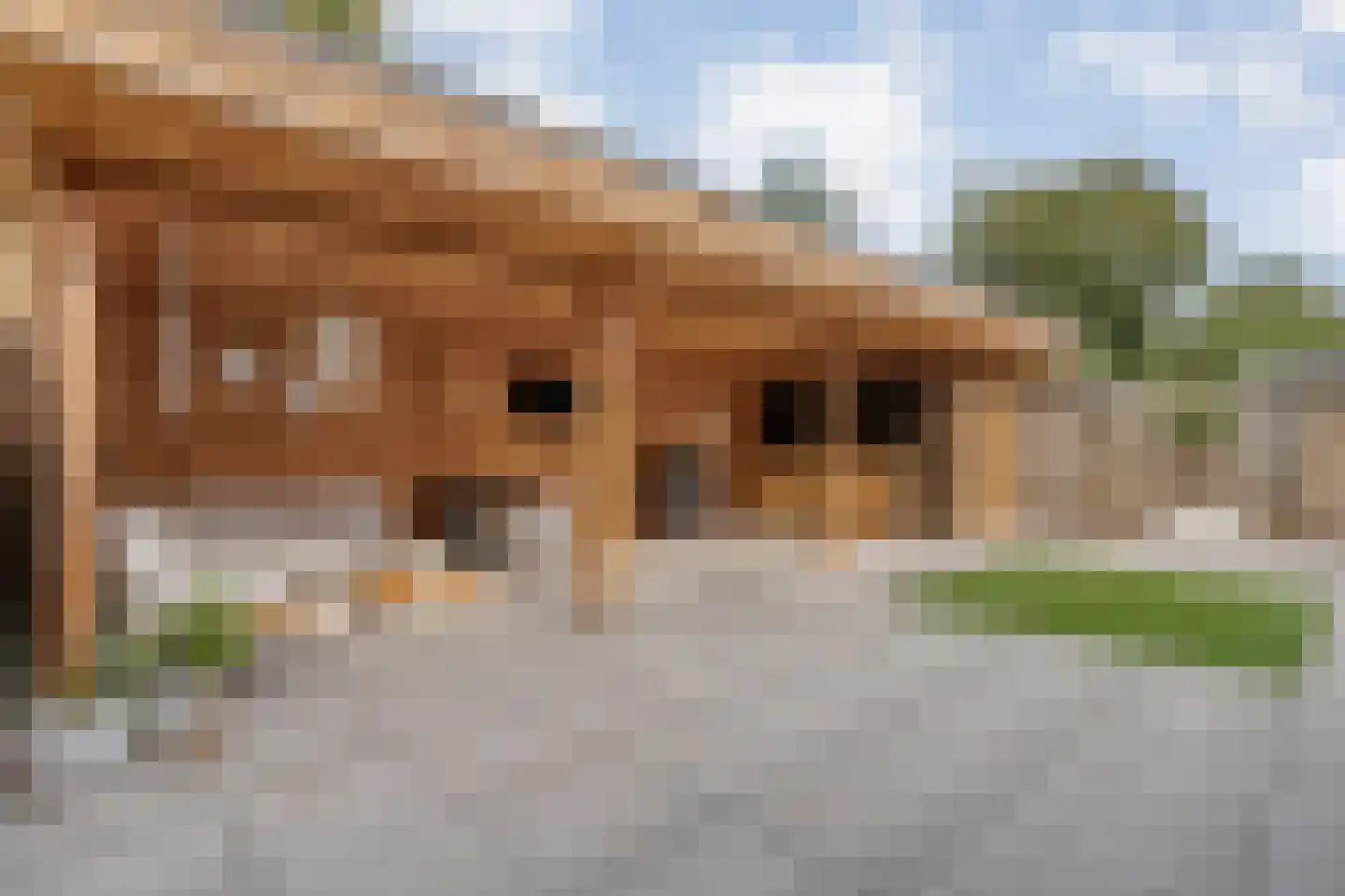 Liezenstraat 11 Beerzerveld thumbnail 37