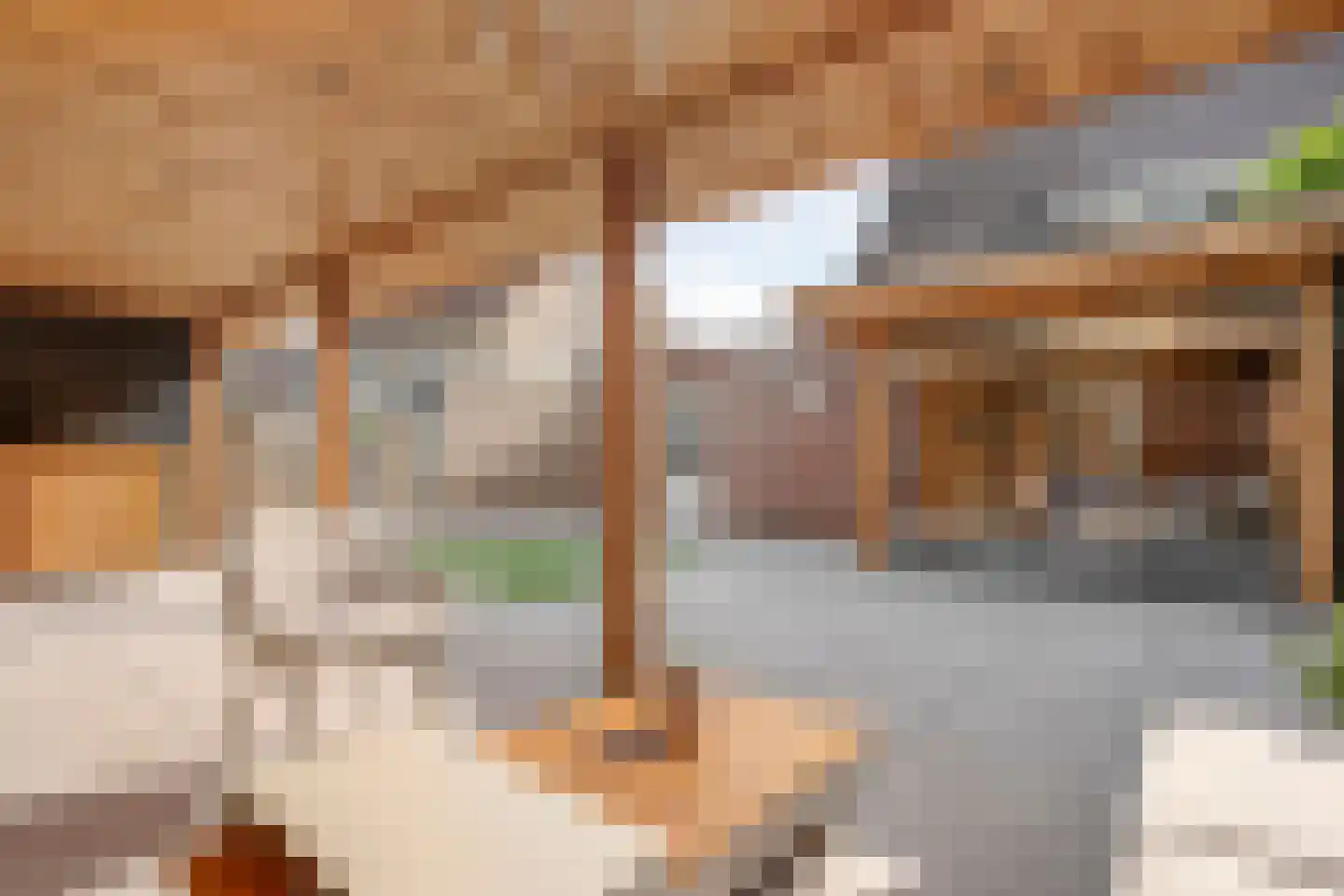 Liezenstraat 11 Beerzerveld thumbnail 41