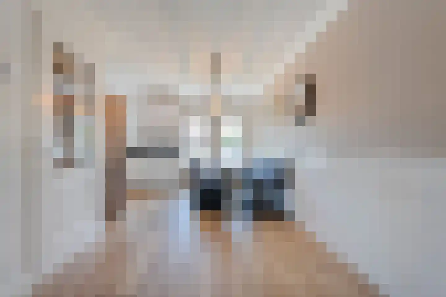 Liezenstraat 30 Beerzerveld thumbnail 13