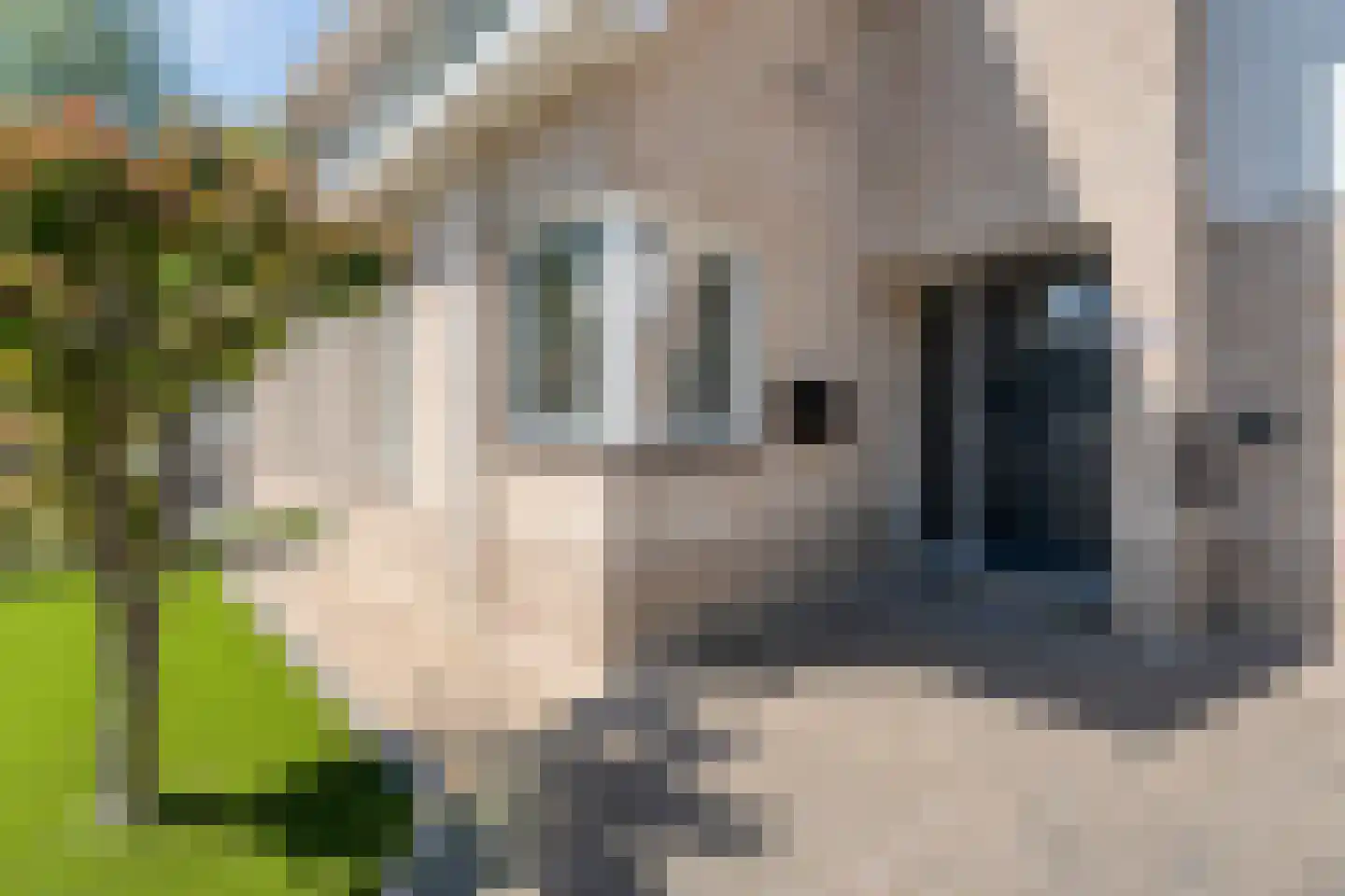 Liezenstraat 30 Beerzerveld thumbnail 5