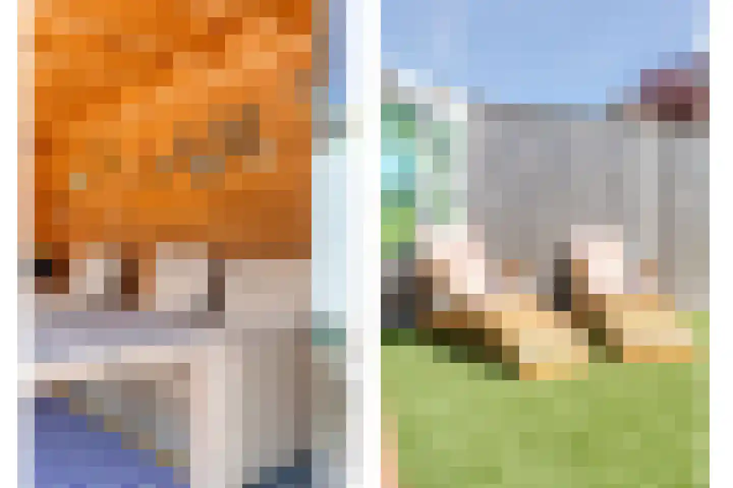 Liezenstraat 30 Beerzerveld thumbnail 57
