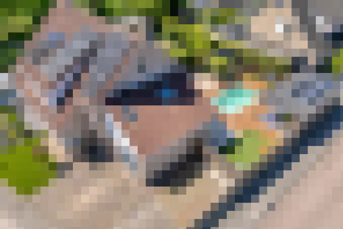 Liezenstraat 30 Beerzerveld thumbnail 59