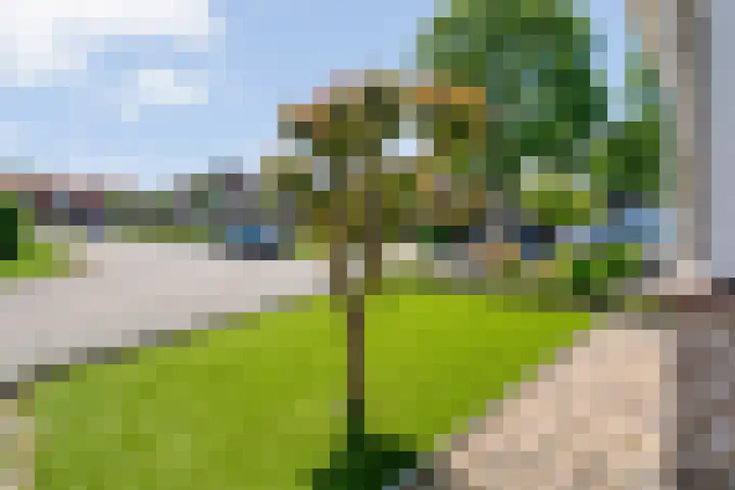 Liezenstraat 30 Beerzerveld thumbnail 66