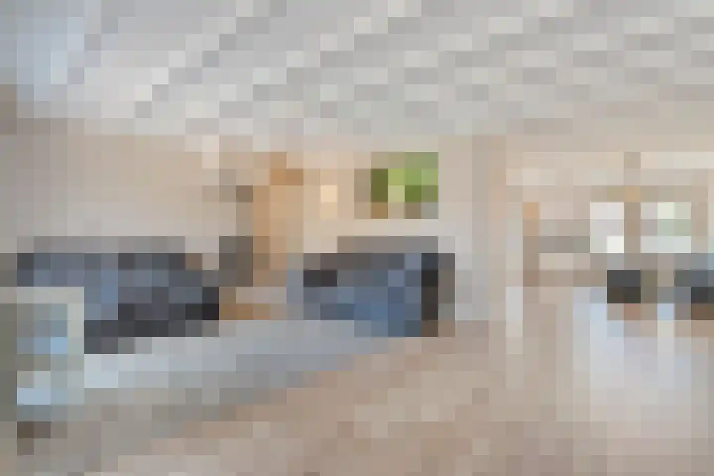 Liezenstraat 30 Beerzerveld thumbnail 8