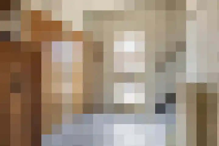 Liezenveenweg 31 Uffelte thumbnail 22