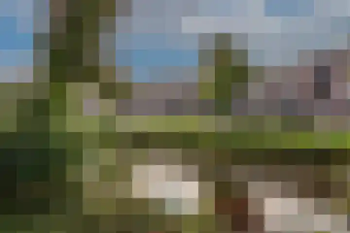 Liezenveenweg 31 Uffelte thumbnail 29