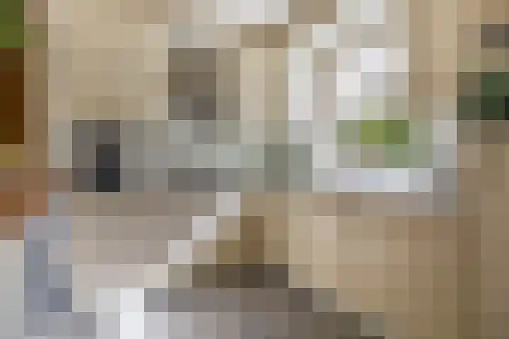 Liezenveenweg 31 Uffelte thumbnail 8