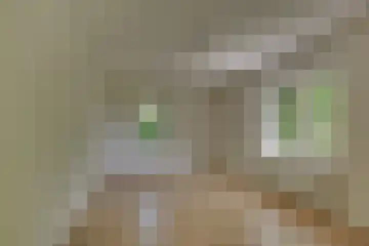 Liezenweg 1 Holten thumbnail 13